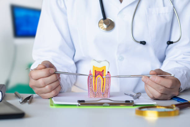 Best Tooth Infection Emergency Dentist  in Lake Waccamaw, NC